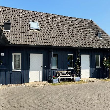 Ferienhaus Mit Sauna 青斯特 外观 照片